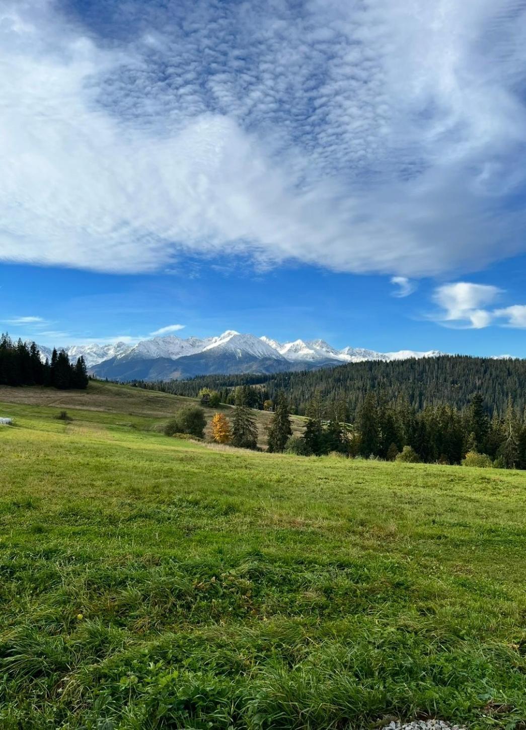 Tatra Widok Apartment Буковина Татжанска Екстериор снимка